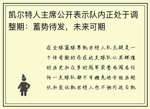 凯尔特人主席公开表示队内正处于调整期：蓄势待发，未来可期